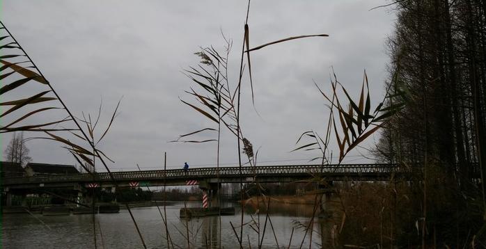 有毛不算秃含义,有毛不算秃怎么回复