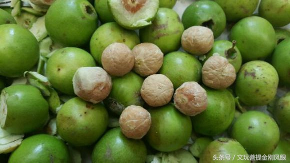 凤眼菩提价格还会降吗,今年小凤眼为什么涨价