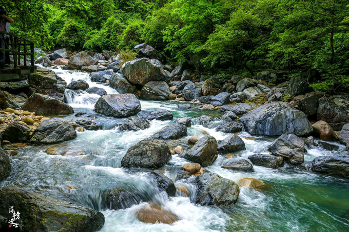 哪儿有原始森林拍照的景区,冬天适合拍照的原始森林