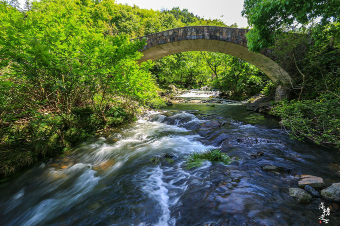 哪儿有原始森林拍照的景区,冬天适合拍照的原始森林
