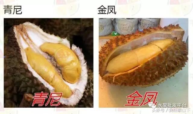 水果分类分为哪几类,超市水果分类表一览表