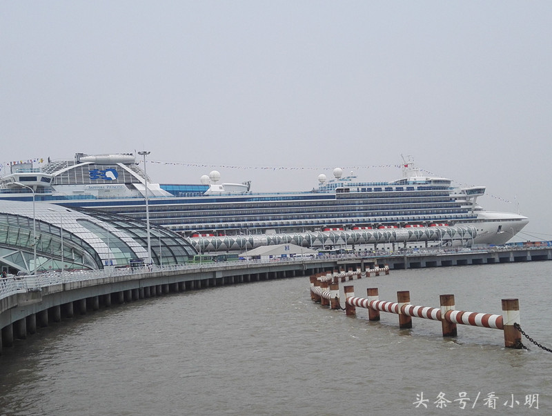 游轮真实体验,邮轮亲身体验
