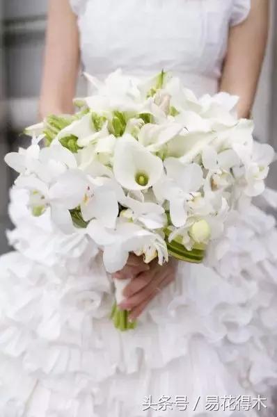 如何才能让马蹄莲复花,马蹄莲什么时候休眠什么时候开花