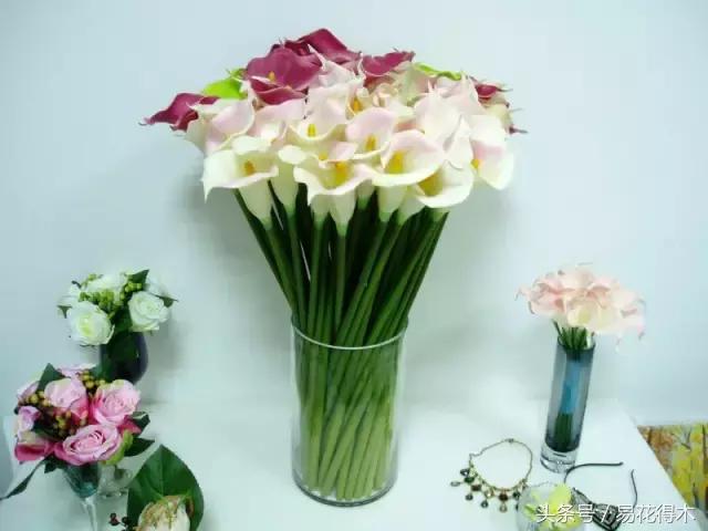 如何才能让马蹄莲复花,马蹄莲什么时候休眠什么时候开花