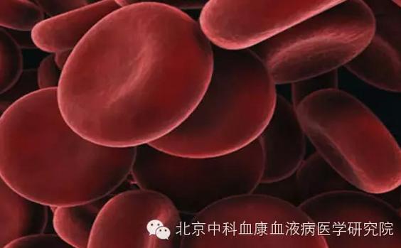 血小板增多症要吃阿司匹林吗,血小板增多症可以不吃阿司匹林