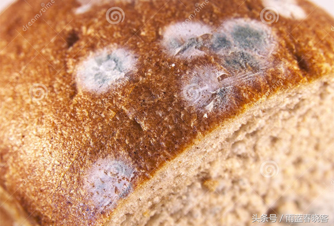 面包发霉还能吃吗,吃了一块发霉的面包怎么办