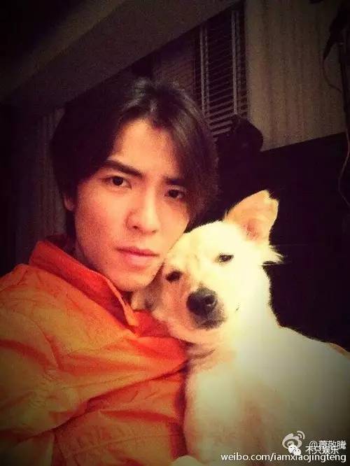 萧敬腾领养狗狗,萧敬腾领养孩子