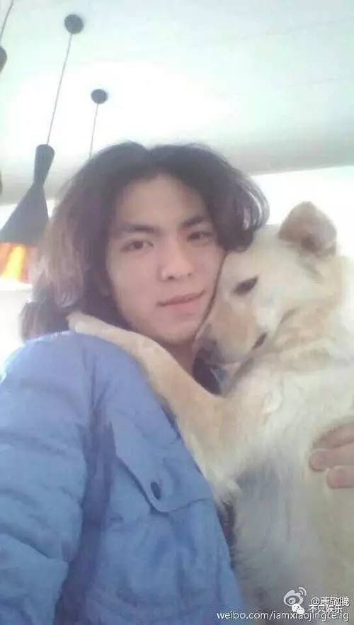 萧敬腾领养狗狗,萧敬腾领养孩子