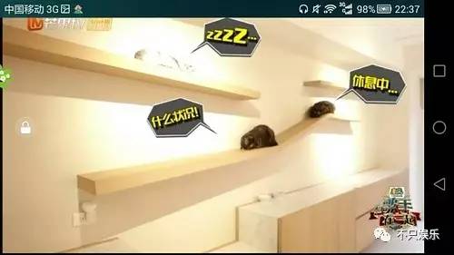 萧敬腾领养狗狗,萧敬腾领养孩子