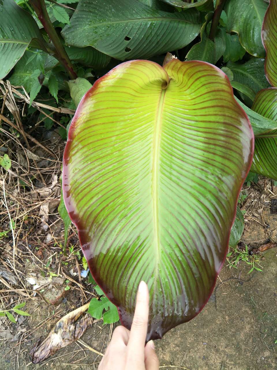 一路山水一路歌完整版,一路山水一路歌歌词