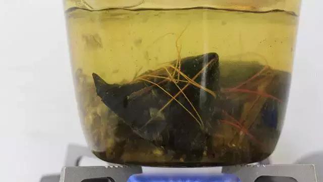 端午节最好吃的10款粽子,端午带你吃好吃的