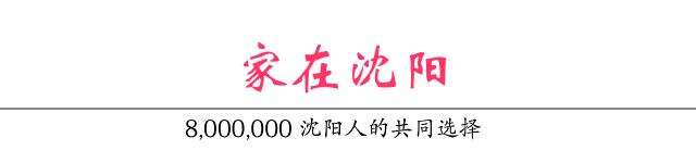 沈阳中产阶级收入标准,沈阳收入阶层怎么分