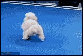 十条笑话:办公室的女人打赌:用同一套问题,打电话问她们的男人