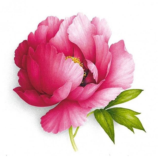 尿道支原体感染可以备孕吗,备孕支原体感染多久能治好