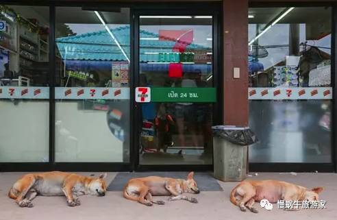 丽贝岛5天攻略,丽贝岛值不值得去