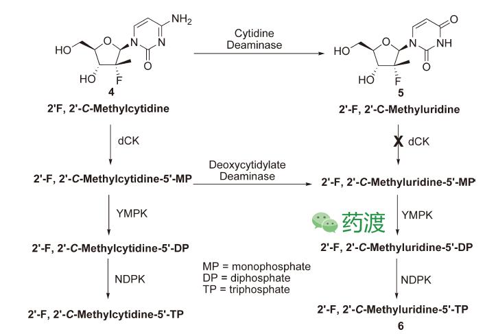 丙肝药索磷布韦价格,治疗丙肝药物索磷布韦在哪里购买