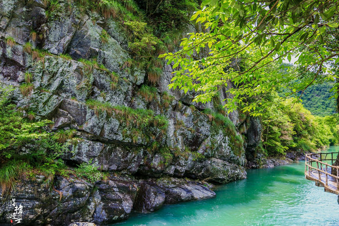哪儿有原始森林拍照的景区,冬天适合拍照的原始森林