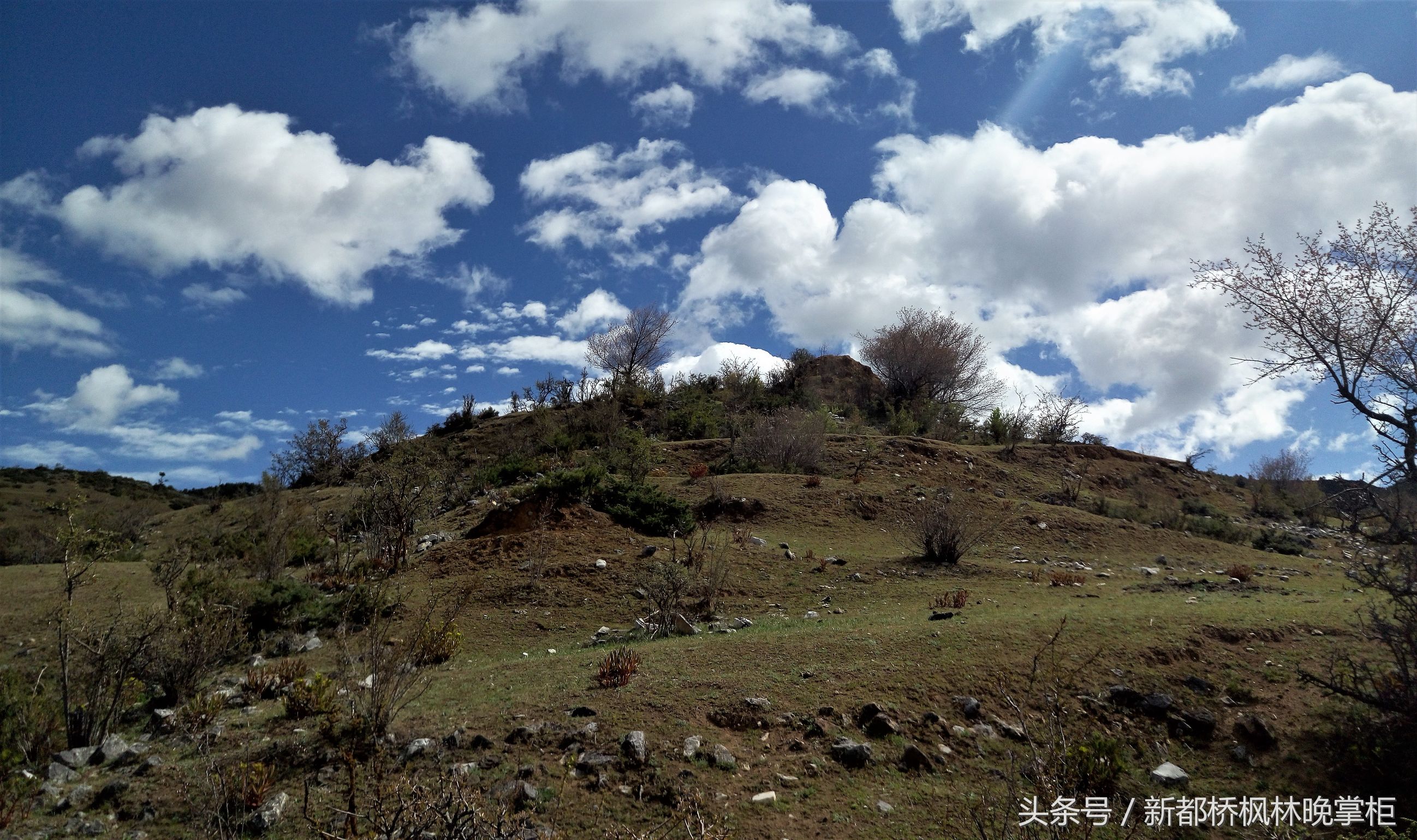 云南省拼车,云南拼车包车