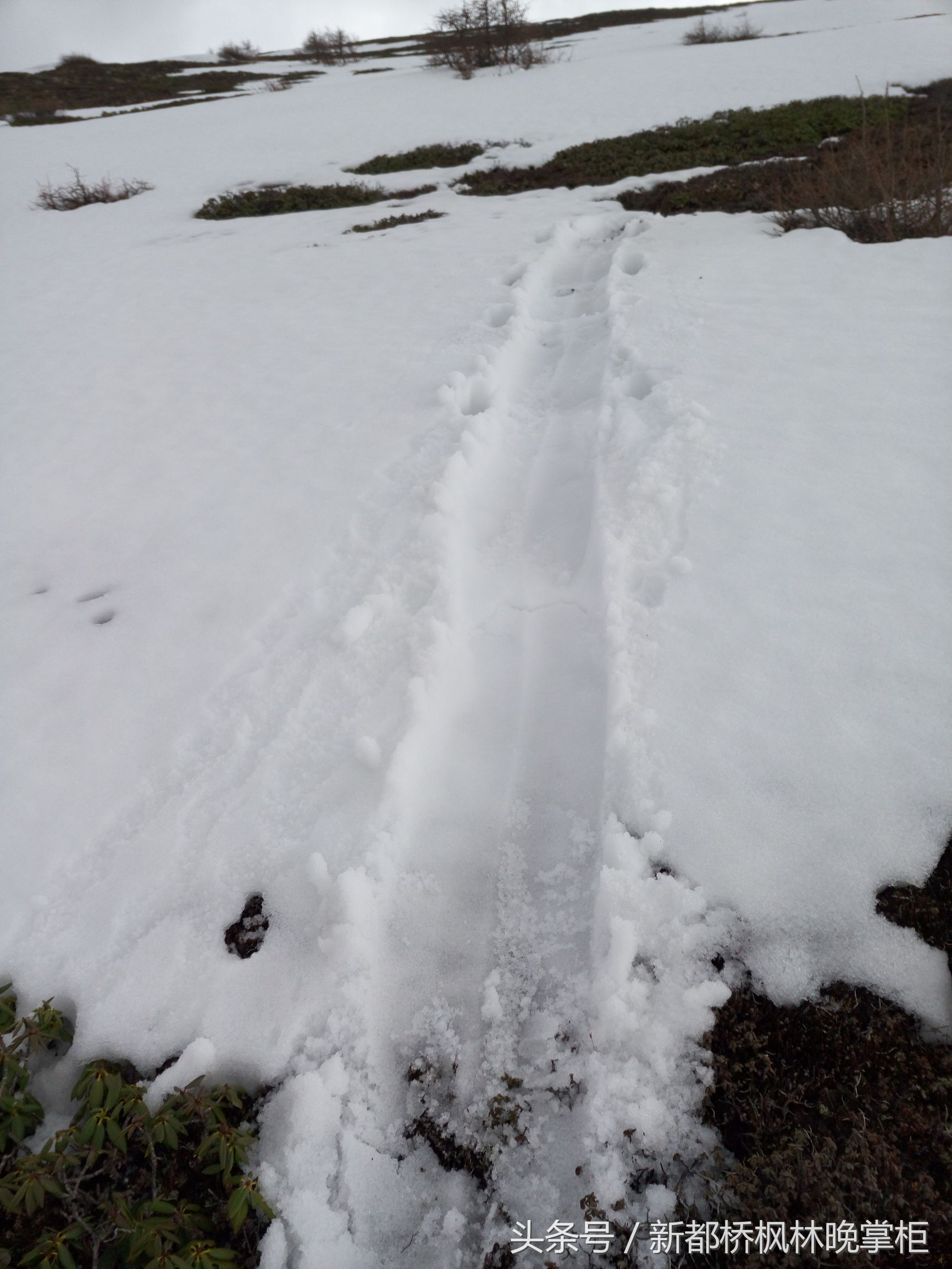 云南省拼车,云南拼车包车