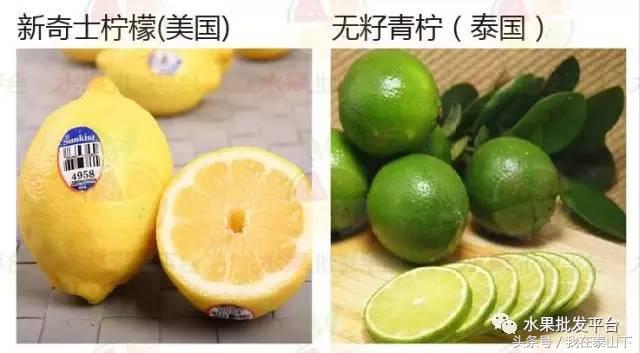 水果分类分为哪几类,超市水果分类表一览表