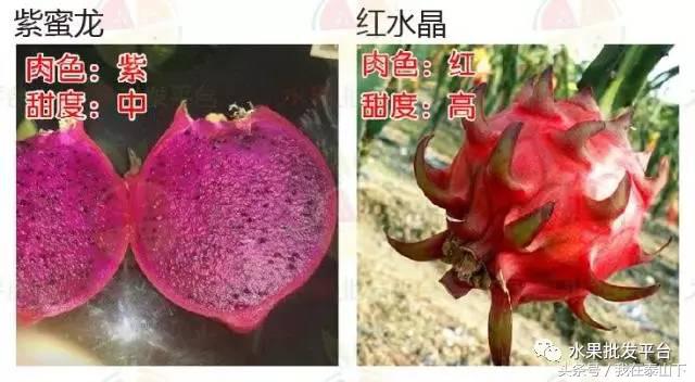 水果分类分为哪几类,超市水果分类表一览表