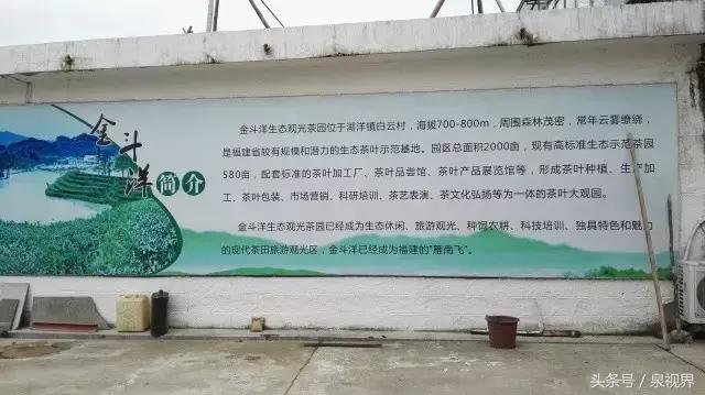 漳平水仙寻茶,永春特级老枞水仙价格