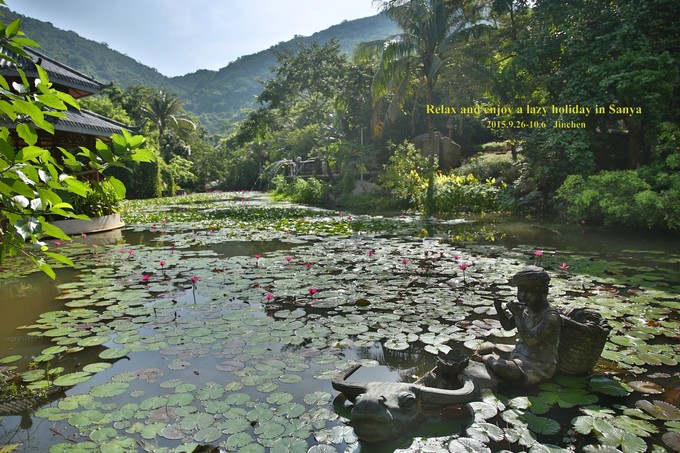三亚慢生活一天,三亚旅游攻略酒店美食