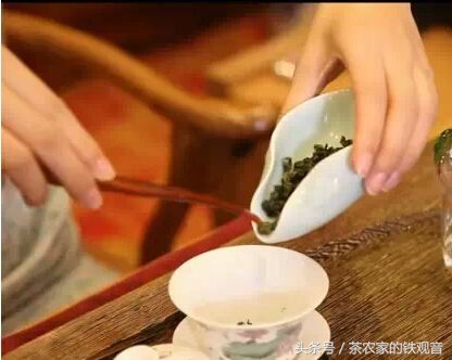 品铁观音的正确方法和技巧,晚上饮铁观音茶叶好吗