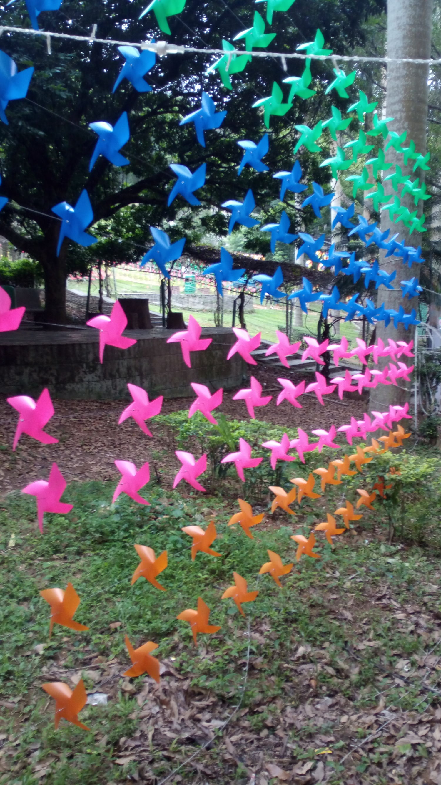 端午节三天深圳周边好去处,端午节深圳游玩攻略