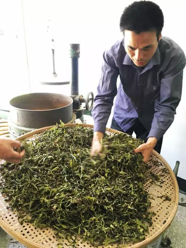 茶旅｜温润如水仙，会是你生活中的日常