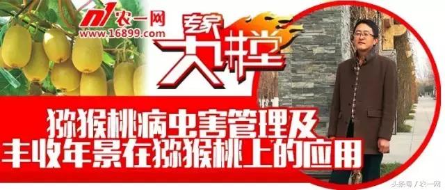 植保专家魏明:一堂讲课引发的一次远行