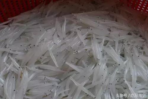 上林旅游有什么好玩的地方,上林好玩地方攻略必去景点