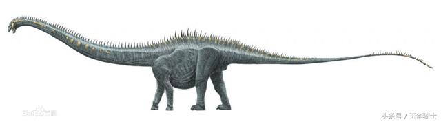 世界上最无畏惧的动物人称平头哥,世界十大凶猛动物平头哥