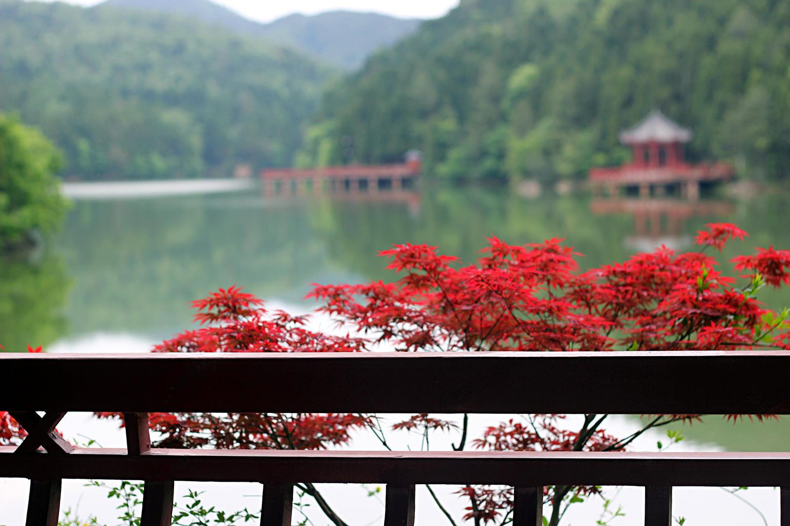 女皇故里英语怎么说,女皇故里文化内涵是什么