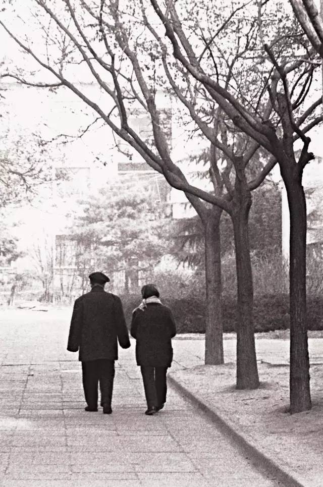 纪念杨绛：十年浩劫，温润如玉