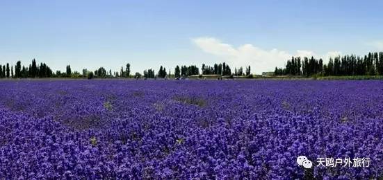 几月份去新疆飞机票最便宜,6月份哪里进疆机票优惠