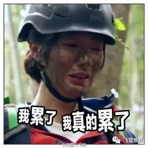 招行钻石卡迪士尼权益,看上去很美评析