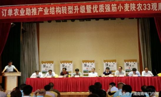 华阴：召开订单农业助推产业结构转型升级强筋小麦观摩会