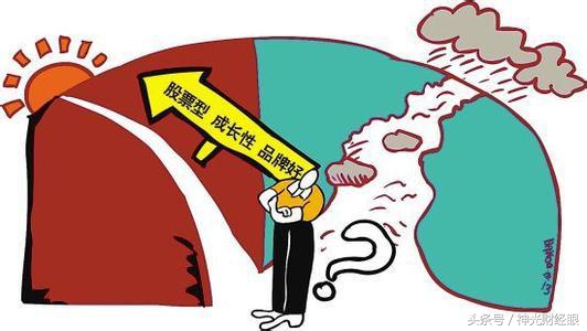 低估值各板块龙头股代码,大盘低估值股票有哪些