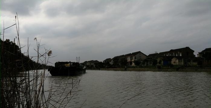 有毛不算秃含义,有毛不算秃怎么回复