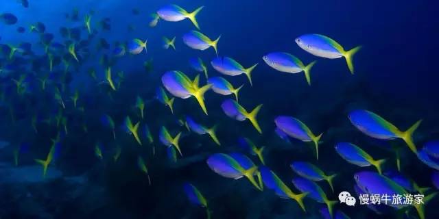 丽贝岛5天攻略,丽贝岛值不值得去