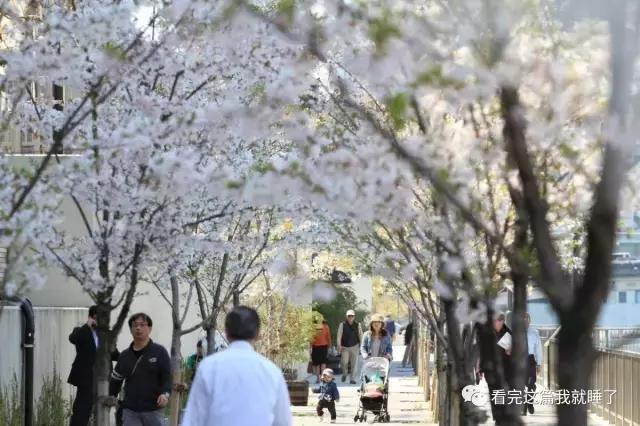 700元一晚住大雄家!揭秘大阪哆啦A梦民宿