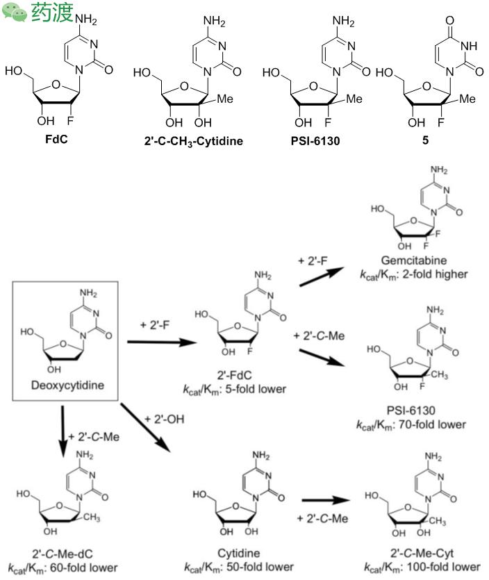 丙肝药索磷布韦价格,治疗丙肝药物索磷布韦在哪里购买
