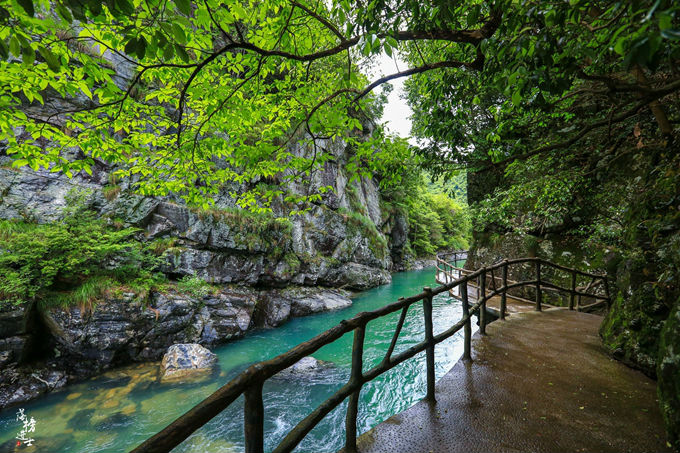 哪儿有原始森林拍照的景区,冬天适合拍照的原始森林