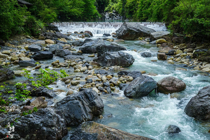 哪儿有原始森林拍照的景区,冬天适合拍照的原始森林