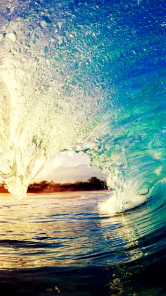 美到窒息，猎户座8895处理器——韩版三星s8系列