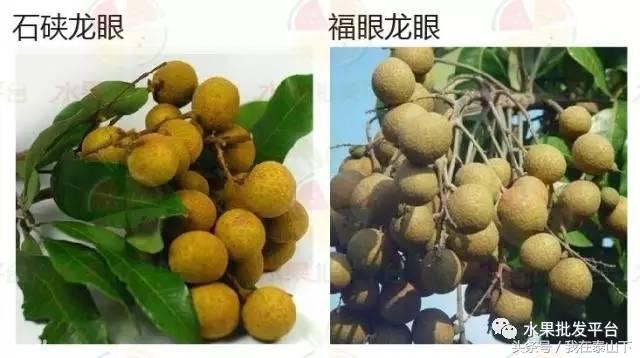 水果分类分为哪几类,超市水果分类表一览表