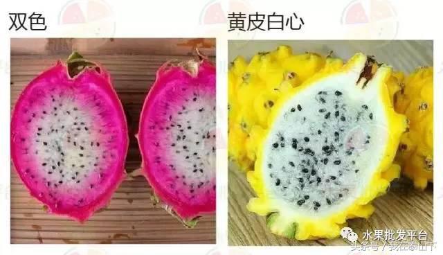 水果分类分为哪几类,超市水果分类表一览表