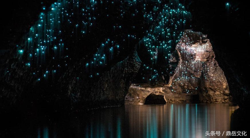 萤火虫团购网,萤火虫团购推荐