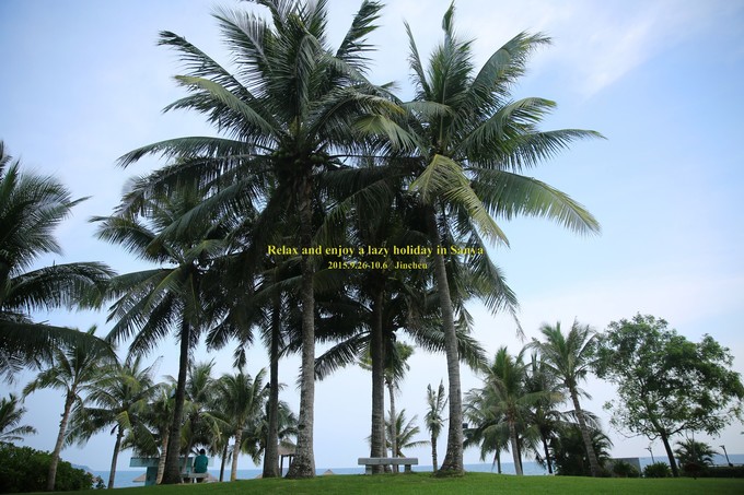 三亚慢生活一天,三亚旅游攻略酒店美食